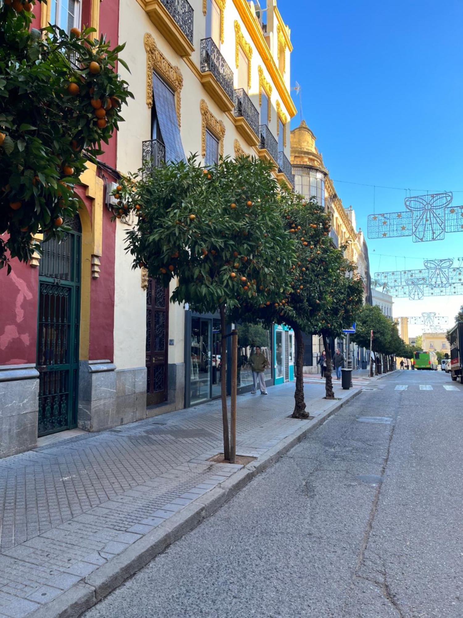 Centro- Apartamento Azonaicas Kordoba Bagian luar foto